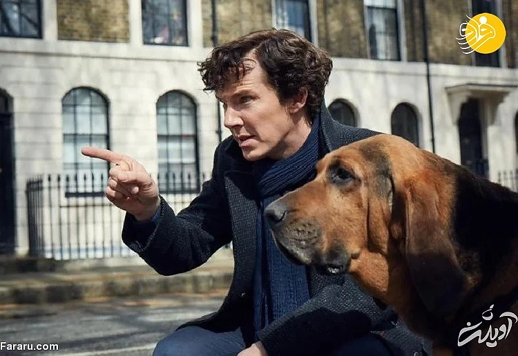 ۱۰۰ سریال محبوب نمایش خانگی جهان (قسمت دوم)